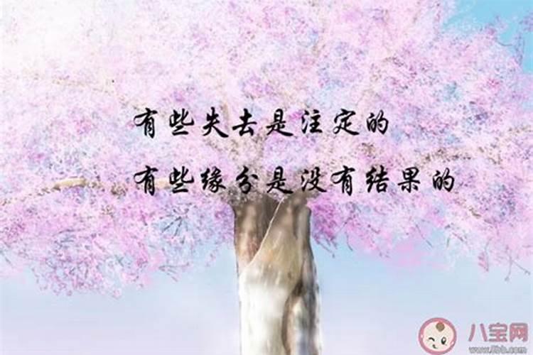 各自安好的短句子