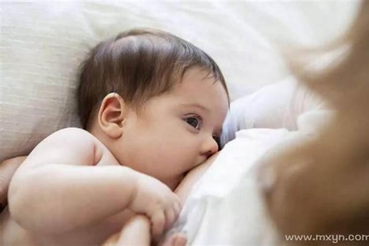 梦到大狗是什么征兆 女性