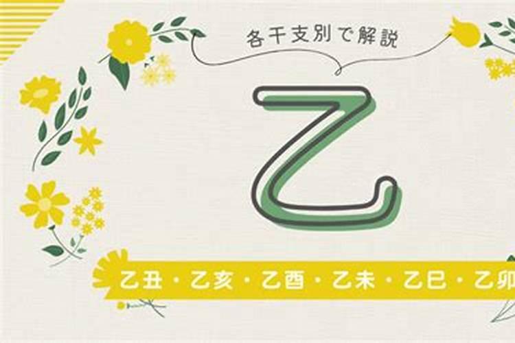 癸亥 癸亥 甲子 甲子 男 己亥流年运势如何