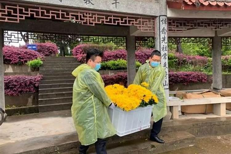 为什么今年清明不能扫墓