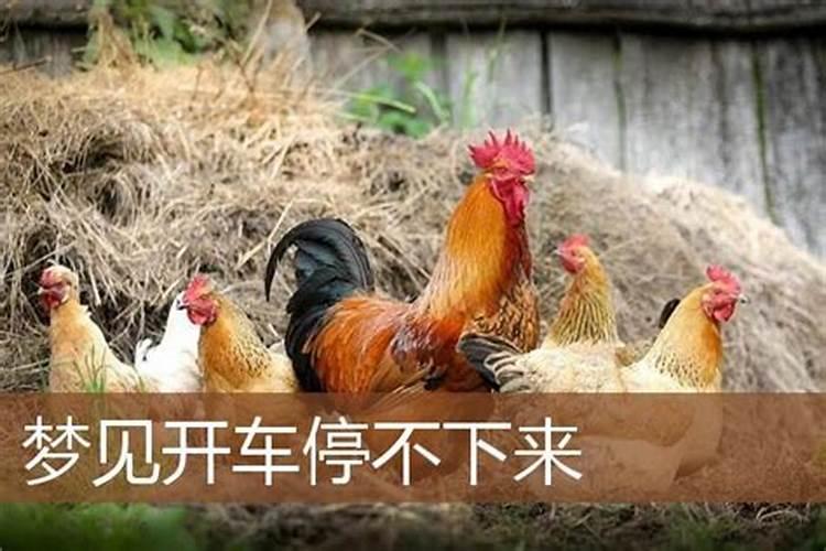 东海有什么好玩的景点