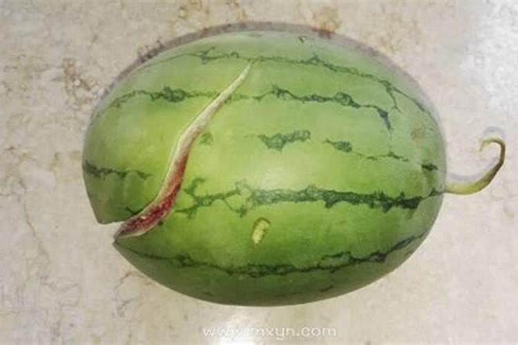太岁是什么意思