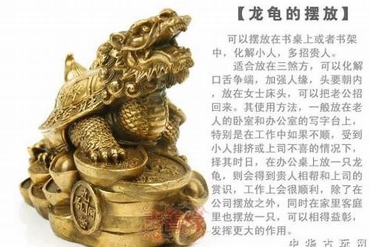 龙龟造型不同有什么影响一分钟教你识龙龟