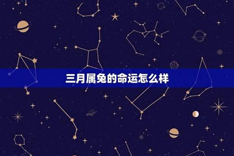 几月兔最苦