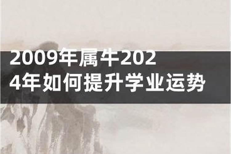 2022年重阳节出生的孩子生辰八字是什么 喜用神查询？