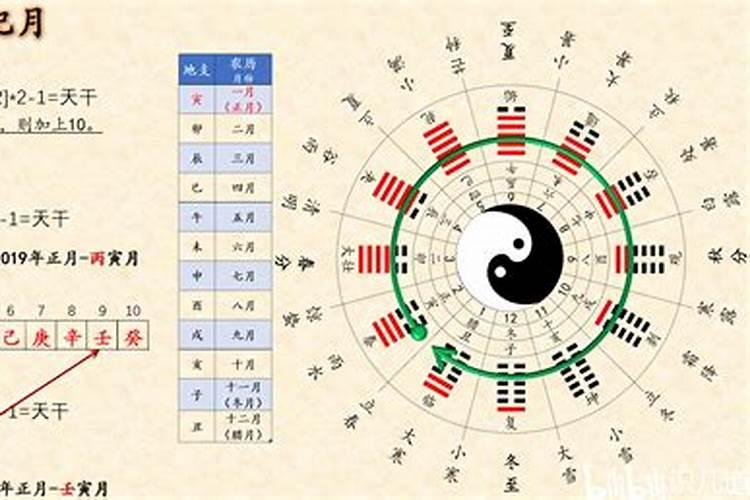 婚配看天干还是地支,天干地支怎麼看啊？