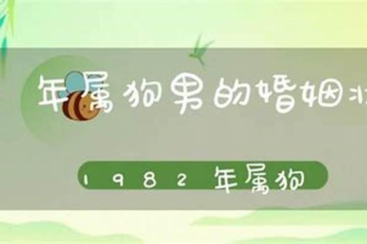 82年属狗一生婚姻如何82年属狗一生有几次婚姻