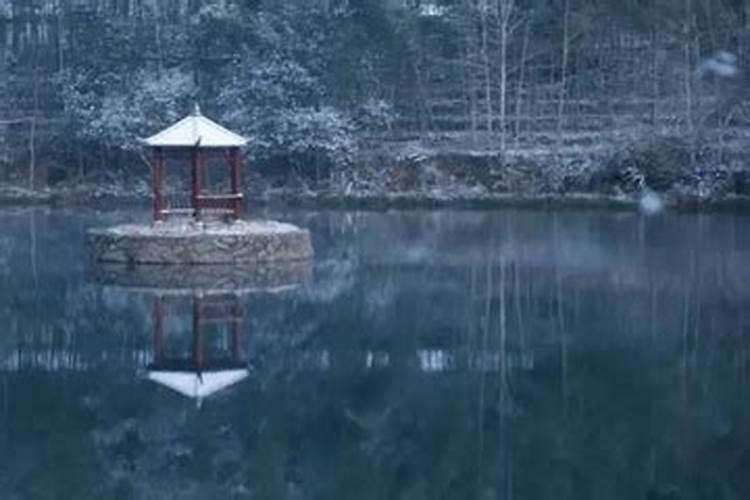 兔与马合得来吗 兔和马能在一起吗？