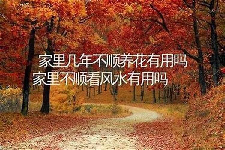往生债和受生债的区别