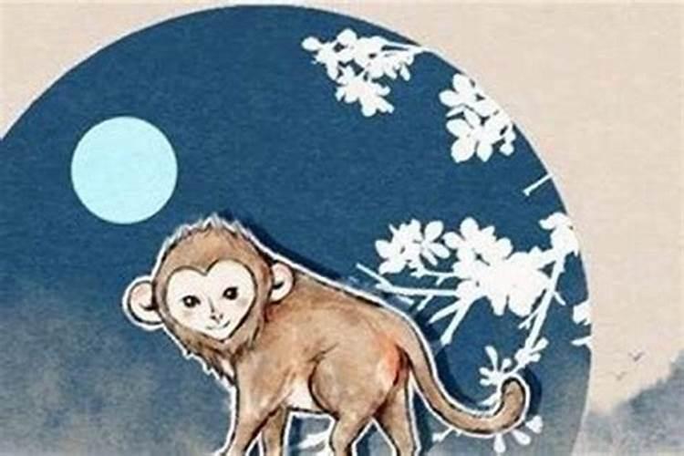 属猴的女人一生是否好命