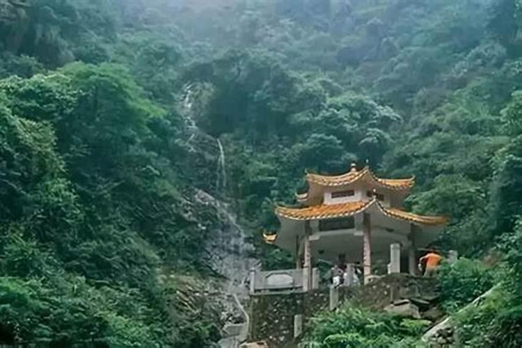 佛山顺德10大美食排行榜佛山顺德十大必吃美食