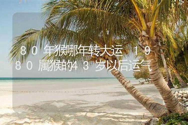 1980年属猴2025年运势