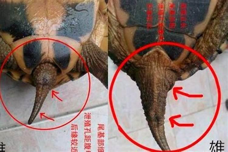 招小人是什么意思