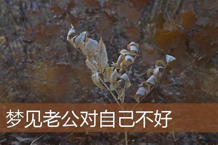 梦见公公婆婆对我很冷淡的预兆