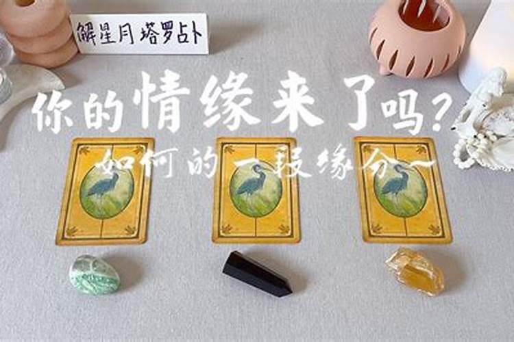 塔罗牌测你未来的婚姻会是什么样的