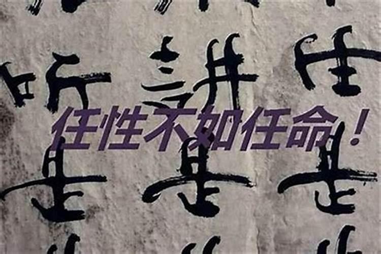 真的是“命好不如运好”吗？