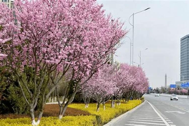 云南省保山市施甸县由旺镇的历史