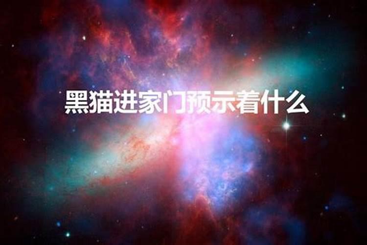 黑猫进家门好不好？？