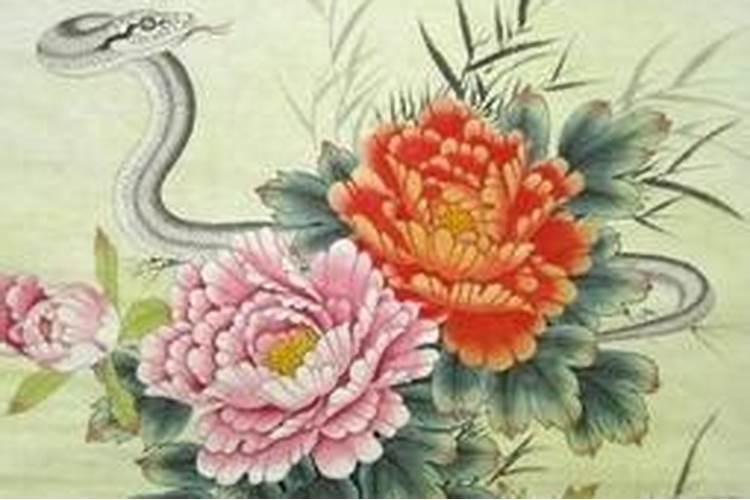 属蛇的重阳节出生命是好是坏？