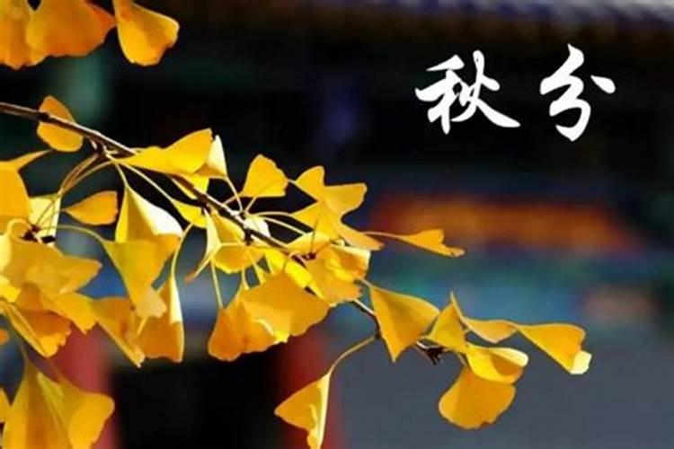 好多牛梦见很多牛是什么意思