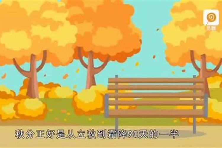 女人梦见好多牛预示着什么