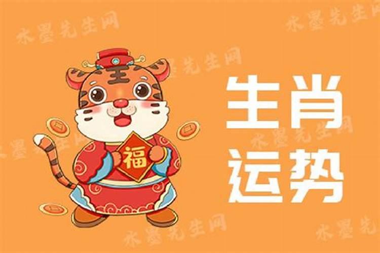 6月6号特吉生肖