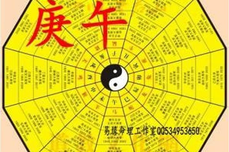 属龙的出生月份命运如何