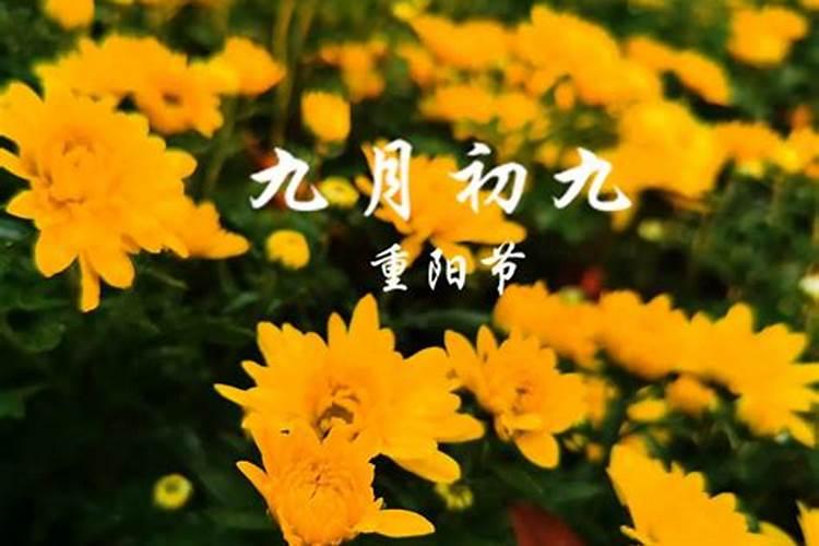 2024年农历九月初九宜拜神吗 2024年10月11日是拜神的黄道吉日吗