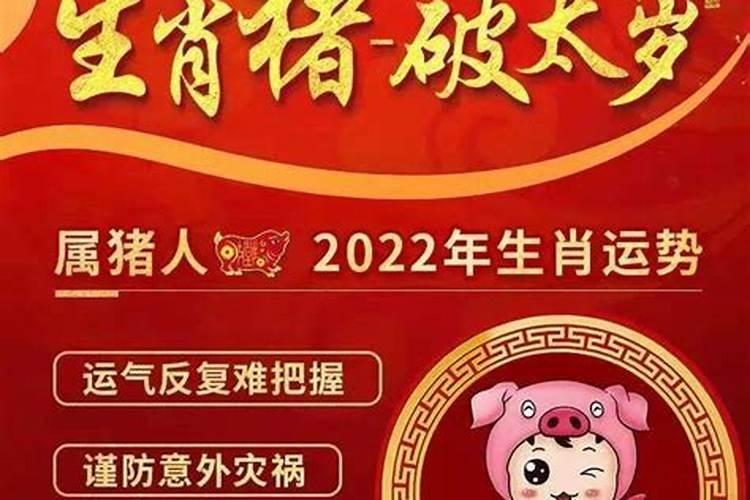 什么人冲太岁越冲越好