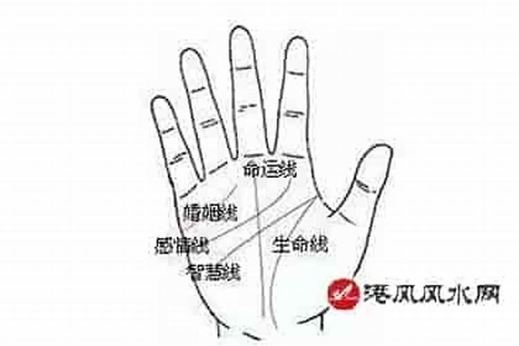 婚姻不顺的女人手相 婚姻不顺的女人五种手相
