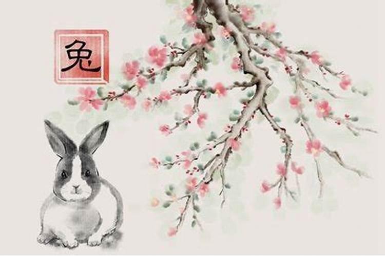 属兔的几点出生最好