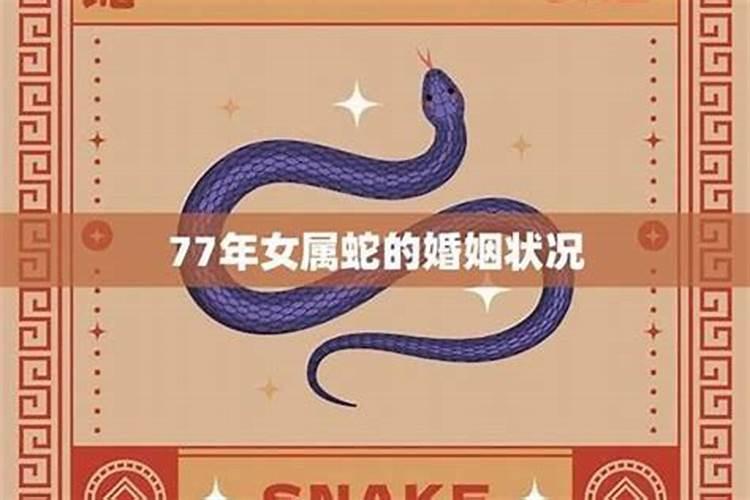 合姻缘:属虎的女人和属蛇男能结婚吗 有没有姻缘