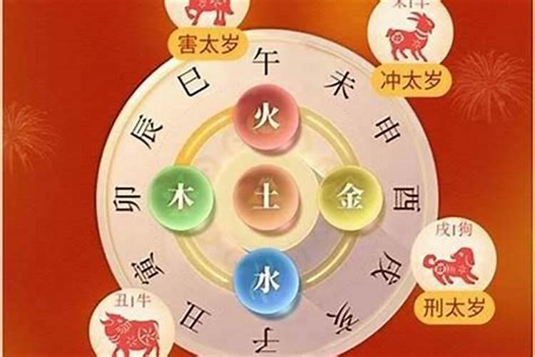 属羊2025年的运势及运程