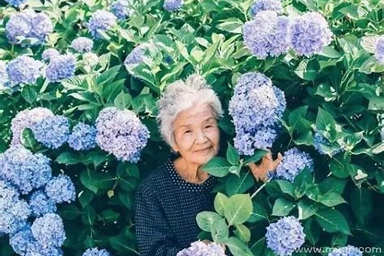 湖北荆州公安县道士做法事念的些什么经书？
