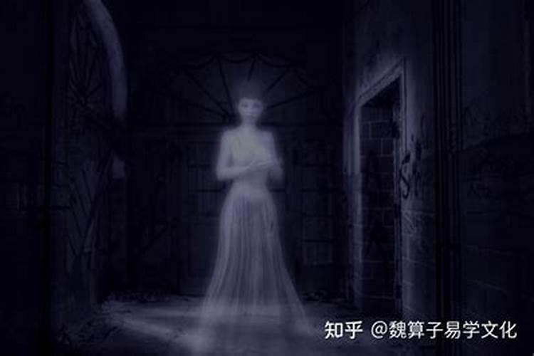 如何查童子出自哪个庙门