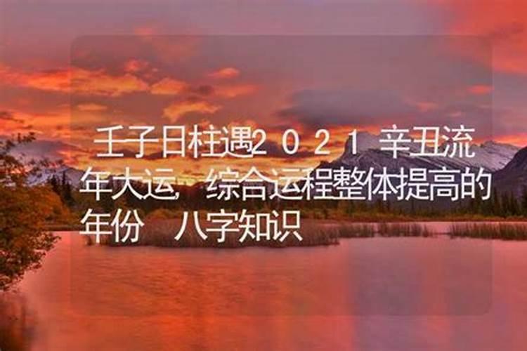 ...壬申 1岁运 大运: 丁未 戊申 己酉 庚戌 辛亥 壬子 是什么意思...