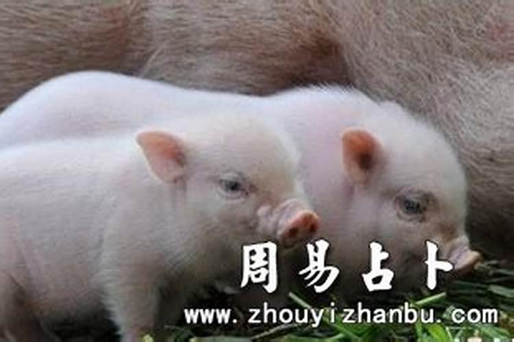 四十多天,今天做人流了,我杀生了,怎么补过