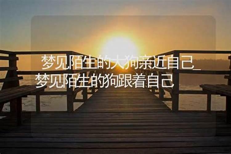 梦见狗与自己亲近是啥意思
