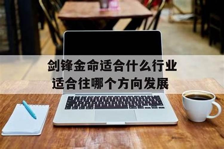 金命适合做什么行业