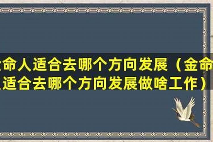 金命的人从事什么行业好？
