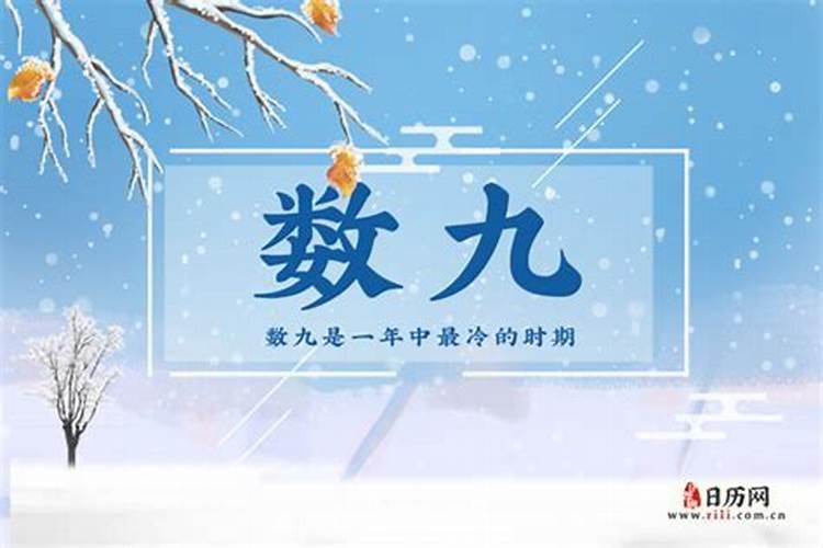 一九是从什么时候开始的？是从冬至吗？
