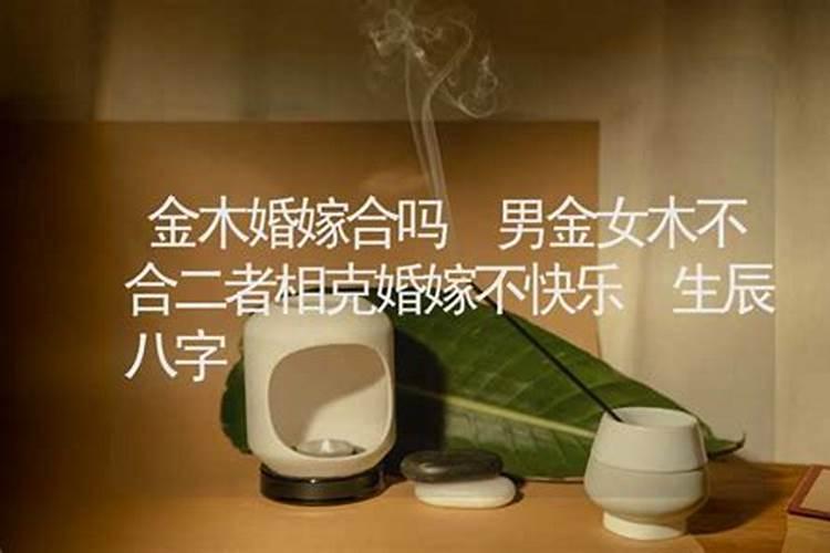 想知道: 上海市 地铁5号线延伸计划 在哪