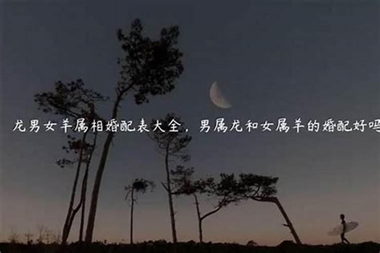 男龙女龙是不是不合婚？