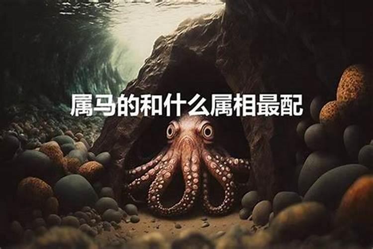 属马人婚配表,属马和哪个属相结婚更好？