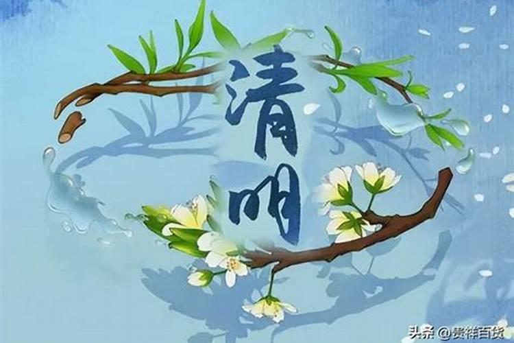 清明饮食攻略!从今天起多吃7种食物