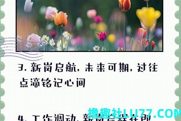 梦见上司领导什么预兆
