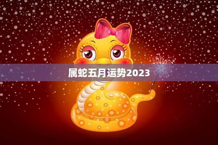 属蛇2024的全年运势(属蛇2024年运势及运程每月运程)