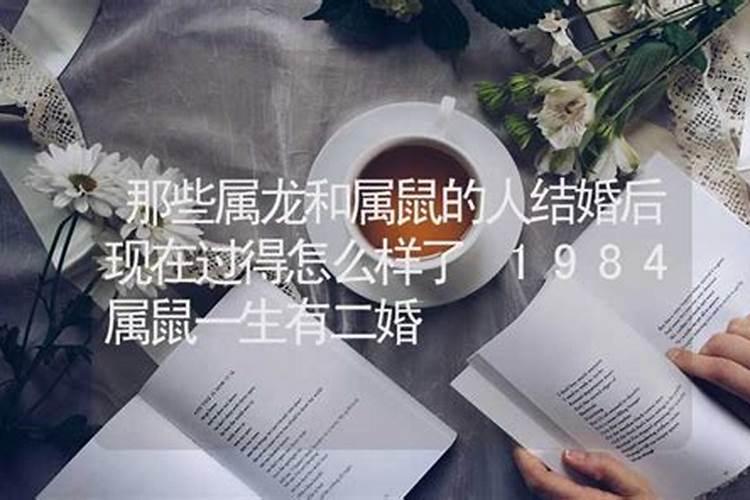属鼠人的婚姻与命运如何 生肖鼠结婚最佳配偶？