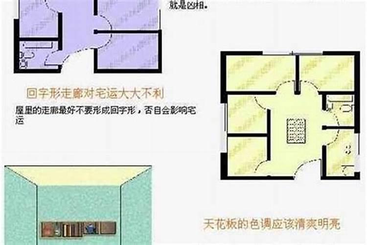 酒鬼酒历史地位,市场份额是很高的
