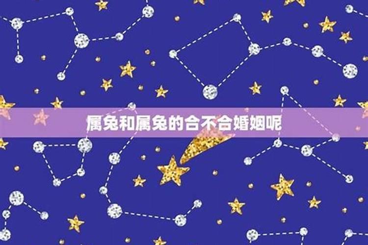 生肖兔和生肖兔相配吗